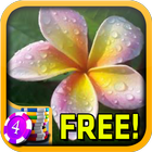 Plumeria Slots - Free icône