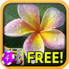 Plumeria Slots - Free icono