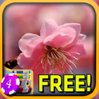 Peach Blossom Slots - Free biểu tượng