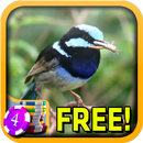 Negligible Wren Slots - Free APK