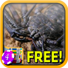 3D Whip Scorpion Slots - Free أيقونة