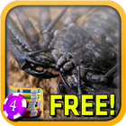 3D Whip Scorpion Slots - Free icône
