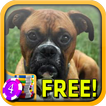 Boxers Slots - Free