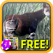 3D Okapi Slots - Free icône