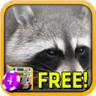 Raccoon Slots - Free आइकन