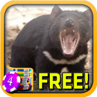 3D Tasmanian Devil Slots ไอคอน