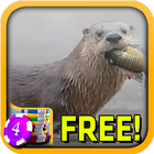 River Otter Slots - Free आइकन