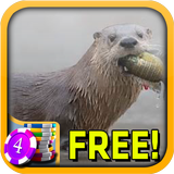 River Otter Slots - Free biểu tượng