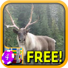 3D Caribou Slots - Free ícone