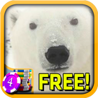 3D Polar Bear Slots - Free icône