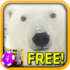 3D Polar Bear Slots - Free icon