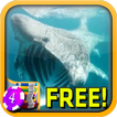 3D Basking Shark Slots - Free