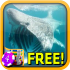 3D Basking Shark Slots - Free ikon