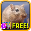 Gerbil Slots - Free