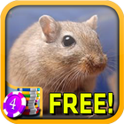 Gerbil Slots - Free icon