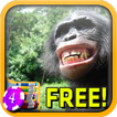 Bonobo Slots - Free