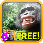 Bonobo Slots - Free icône