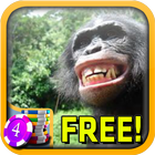 Bonobo Slots - Free آئیکن