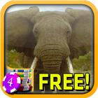 African Elephant Slots - Free icône