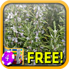 3D Rosemary Slots - Free أيقونة