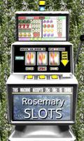 3D Rosemary Slots - Free ポスター