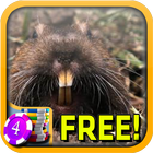 آیکون‌ Gopher Slots - Free