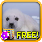 Harp Seal Slots - Free ikona