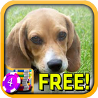 3D Beagle Slots - Free आइकन