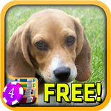 3D Beagle Slots - Free biểu tượng