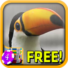 Toucan Slots - Free-icoon