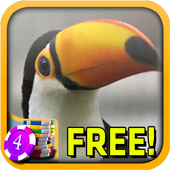 Toucan Slots - Free icône