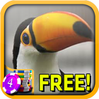 Toucan Slots - Free icône
