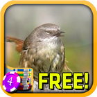 3D Wren Slots - Free-icoon