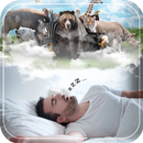 Animals in Dreams - Meaning and interpretation APK