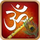 Bhagwad Gita Saar APK
