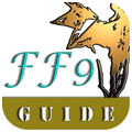Guide For FF9