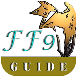 Guide For FF9