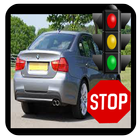 Driver Theory Test Free icône