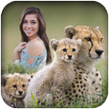 Wild Animal Photo Frames