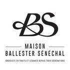 Ballester Senechal أيقونة