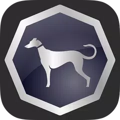 Sighthound Video