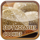 Recipes Soft Molases Cookie icône