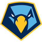 آیکون‌ Point Skyhawks