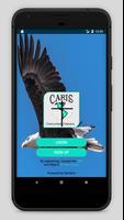 CARIS 海报