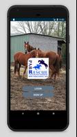 PA Racehorse poster