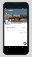 PA Racehorse screenshot 3