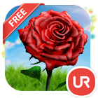 UR 3D Tulip Rose Live Theme icône