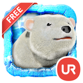 UR 3D Polar Bear HD Wallpaper icon