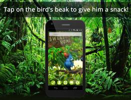UR 3D Cute Jungle Birds HD постер