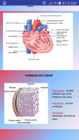 Anatomie du Coeur-nouveau ảnh chụp màn hình 3